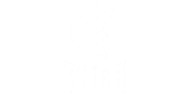 bandeja Automotiva header